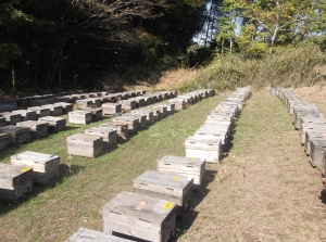 知多半島への移動